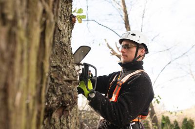 Experienced Tree Trimmers